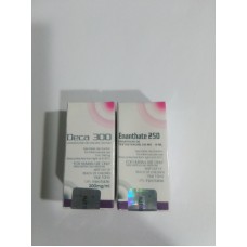 Ciclo Volumen Básico 6 